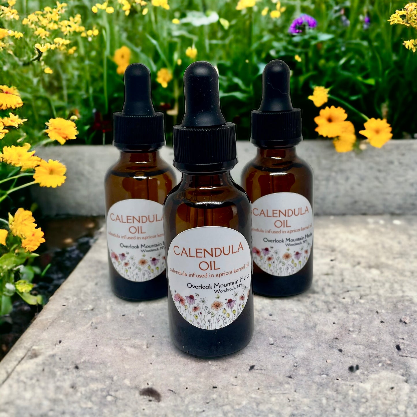 Calendula Oil