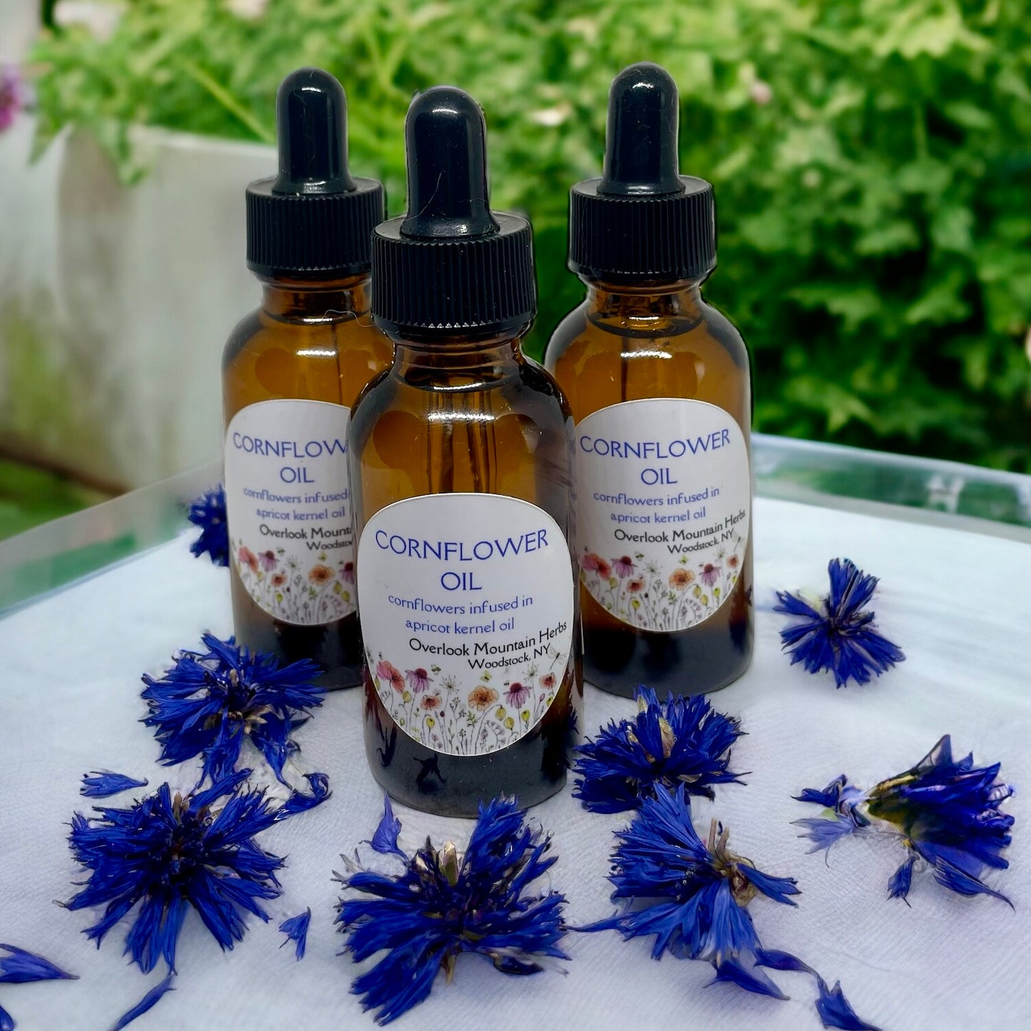 Cornflower Oil