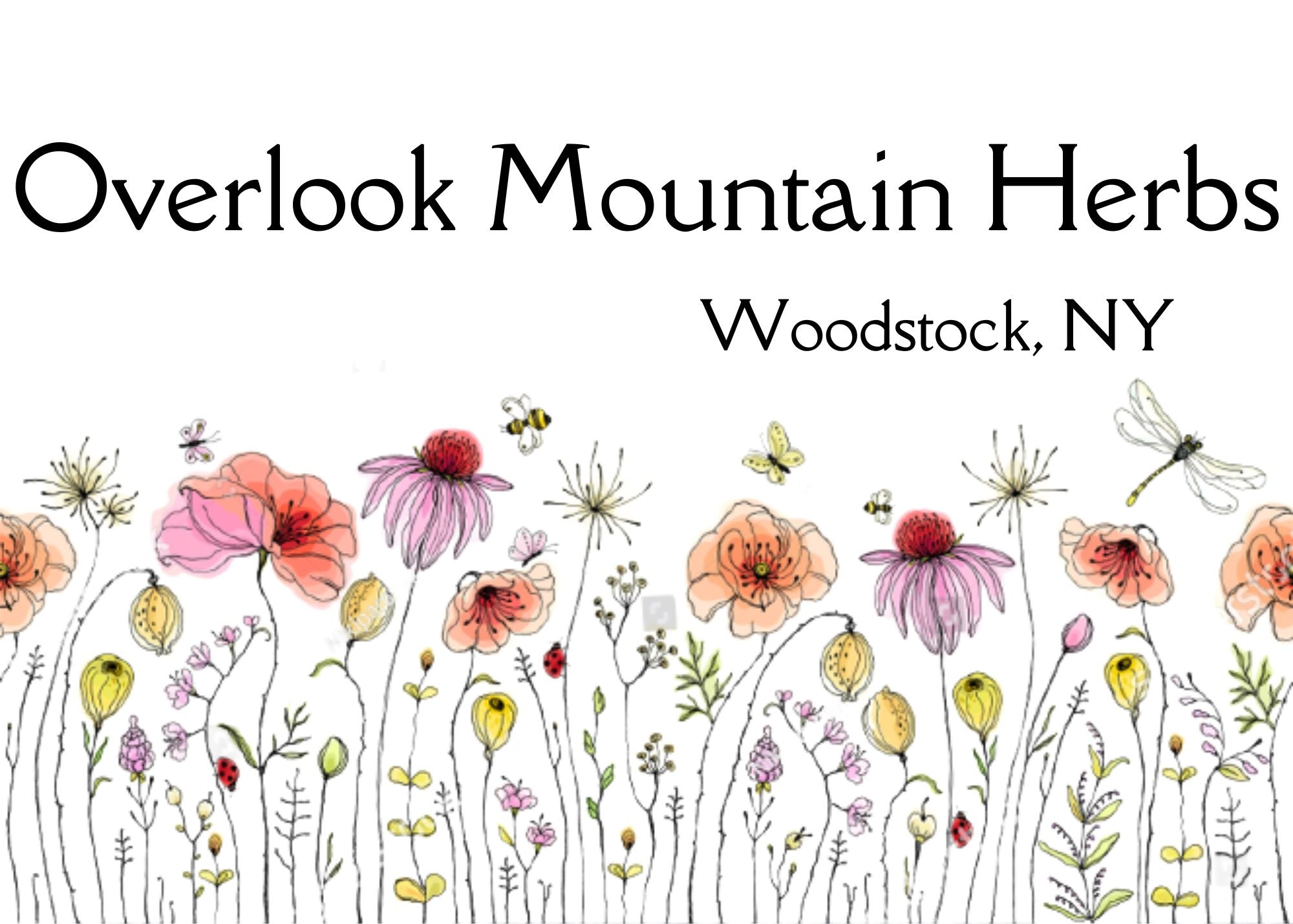 Overlook Mountain Herbs