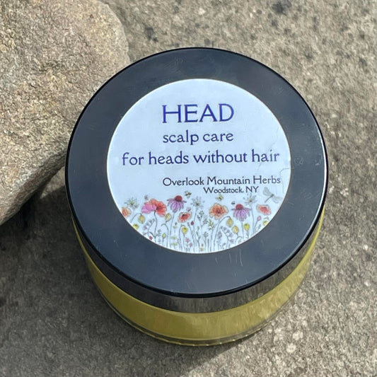 Head: Scalp Care for Heads Without Hair